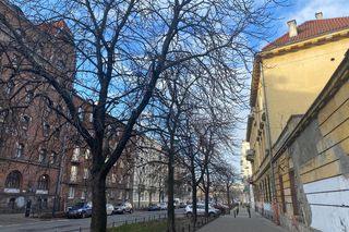 Inżynierska 6 na Pradze-Północ