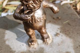 Poznajcie Misie Bemisie! Wiemy, gdzie ich szukać! 