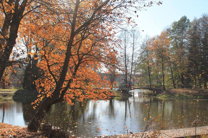 Ogród Botaniczny