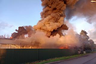 Pożar hali  w Rudniku nad Sanem [GALERIA]