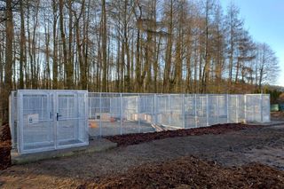 Nutrie w azylu w Zagrodzie 3 Siostry