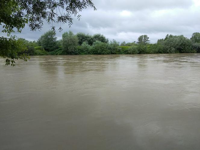 Wysoki Dunajec pod Tarnowem! Biała przy Azotach też przybiera