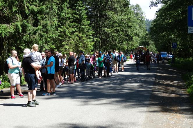 Wypadek wozu konnego na trasie do Morskiego Oka - 2 osoby zostały ranne