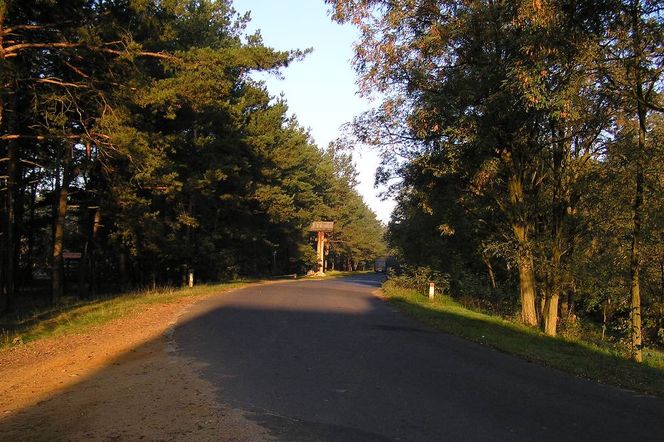 Kampinoski Park Narodowy