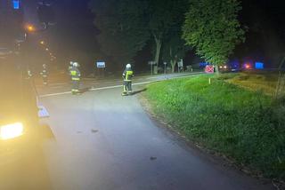 Rogienice Wielkie. Śmiertelny wypadek motorowerzysty na DK 63 [ZDJĘCIA]