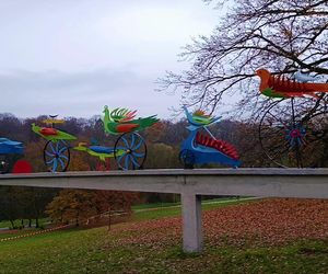 Ogniste Ptaki w Parku Kasprowicza w Szczecinie