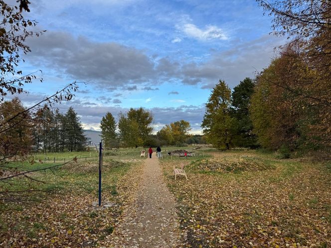 Serenity Park w Mysłowicach to nowe miejsce wypoczynku na Śląsku