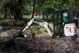 Park Ludowy pięknieje z dnia na dzień. To naprawdę robi wrażenie