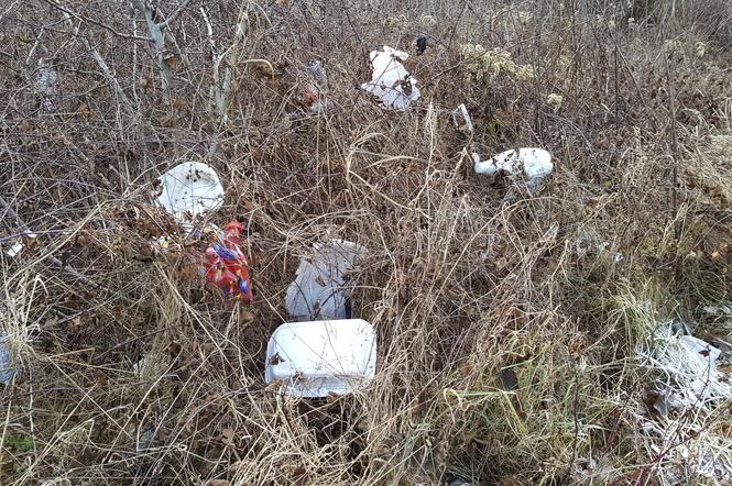 Dzikie wysypiska śmieci w Nowym Sączu