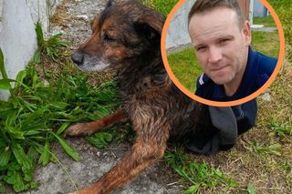 Bohaterska postawa policjanta. Z narażeniem własnego życia uratował psa