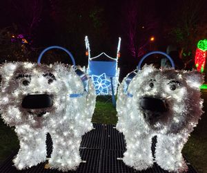 Park iluminacji w Lublinie