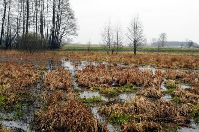 Park Krajobrazowy Wzniesień Łódzkich