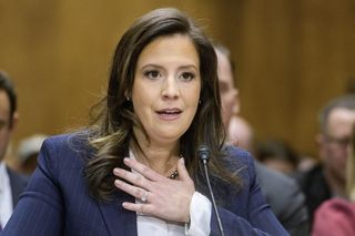 Ma polskie korzenie i chce rządzić Nowym Jorkiem! Stefanik powalczy o fotel gubernatora?
