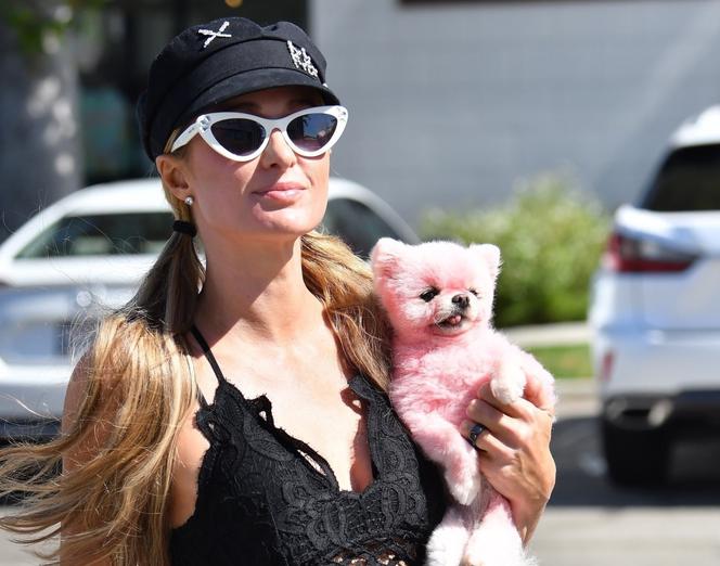 Paris Hilton z różowym psem