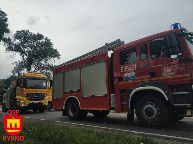 Szokujący wypadek pod Sochaczewem! 29-latka zginęła w roztrzaskanym volkswagenie [ZDJĘCIA]