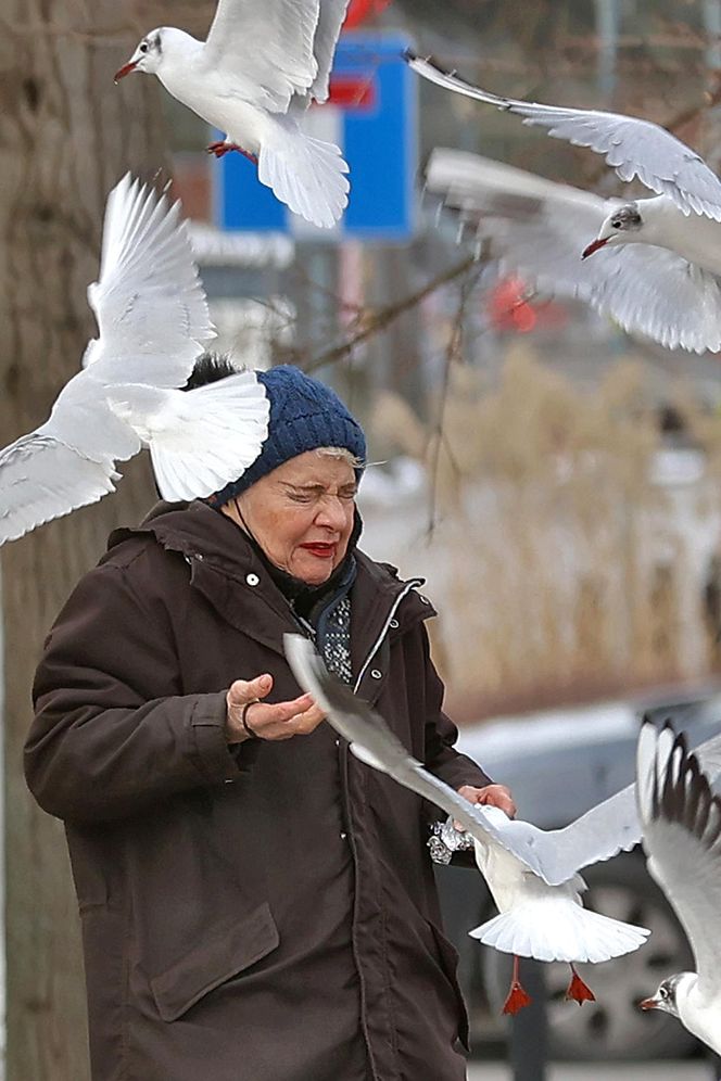 Anna Chodakowska. Gwiazda "Labiryntu" wśród ptaków