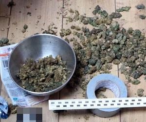 Policjanci zabezpieczyli ponad kilogram marihuany i zlikwidowali nielegalną uprawę konopi