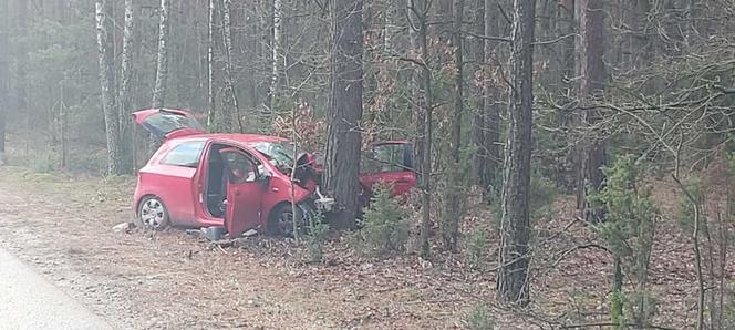 Pięć osób w zmiażdzonych autach! 42-latka i 14-latka ciężko ranne. Lądowały dwa śmigłowce LPR! [WIDEO, ZDJĘCIA]