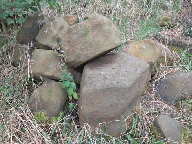 Bazaltowe słupy na Dolnym Śląsku