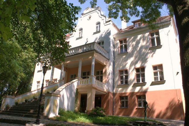 Pałac w Witosławiu