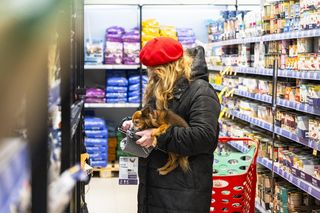 Nie może dopasować ubranka dla psa