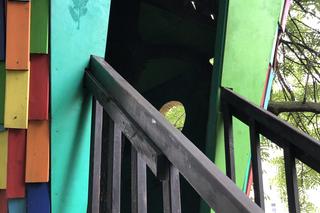 Bezdomni przegonili dzieci. W domku na drzewie urządzili melinę i noclegownię