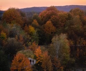 Świętokrzyskie. Kraina Czarów