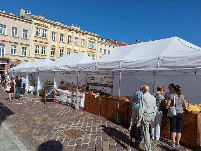 Festiwal Karpaty na Widelcu w Rzeszowie