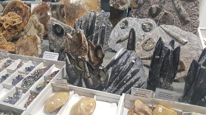 Giełda Minerałów w Sosnowcu