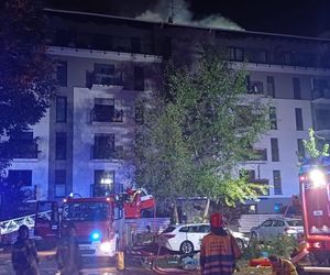 Pożar przy ul. Krańcowej w Poznaniu. Strażacy: To była trudna noc [ZDJĘCIA]