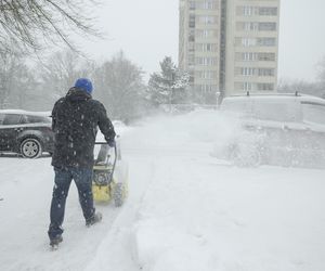 Śnieżyce to nie wszystko. Zima wychyla głowę znad powierzchni 