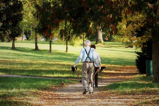 Nordic Walking jesienią? Temperatura pomoże w dziarskim chodzeniu. ;)