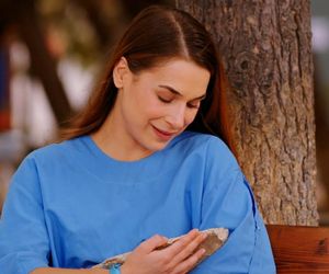 Miłość i nadzieja odc. 266. Sila