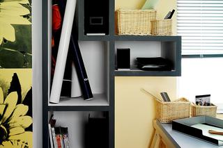 Wokół biurka: półki na książki i dokumenty