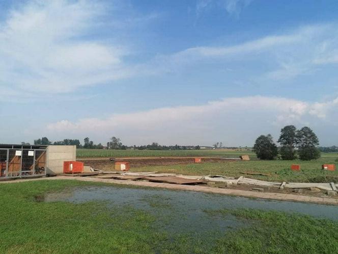 Trąba powietrzna przeszła przez schronisko dla psów. Psiakom na szczęście nic się nie stało, straty materialne są niestety duże
