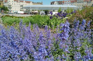 Rynek Łazarski w Poznaniu