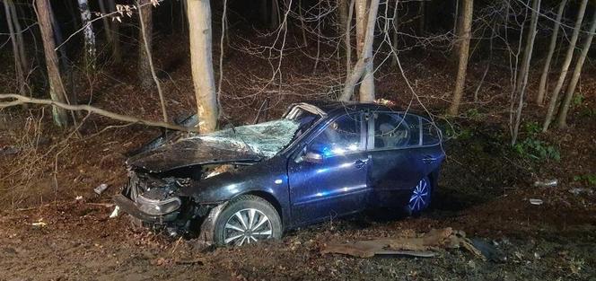 16-letnia dziewczyna zginęła wskutek wypadku drogowego w Zalesiu (Świętokrzyskie)