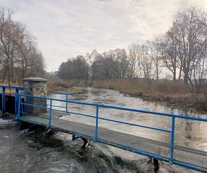 Zalane posesje i drogi pod Wrocławiem. Woda wciąż nie opada, alarmy powodziowe