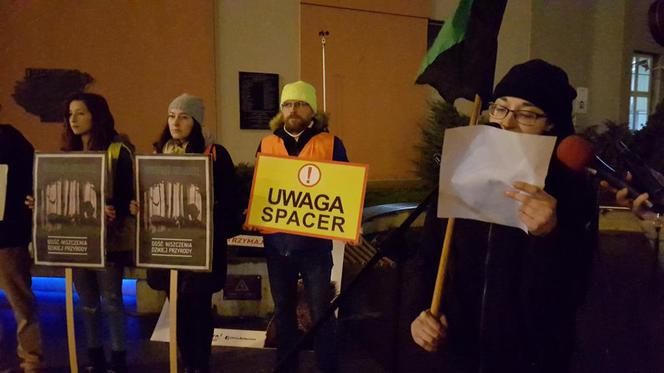 Ekolodzy boją się o dziki. Wyszli na ulice Bydgoszczy, by zaprotestować