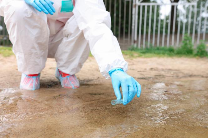 Zapomniana epidemia rozlewa się na kolejne kraje. W szpitalach roi się od wyjących z bólu