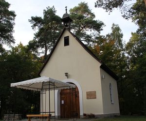 Diecezjalna pielgrzymka rodzin na Górę Chełmską