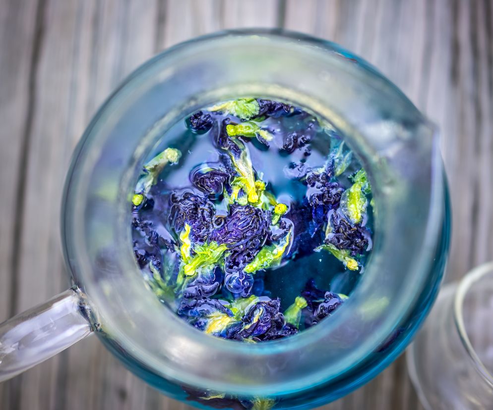 Niebieska herbata zachwyca niecodziennym kolorem i szeregiem właściwości zdrowotnych.