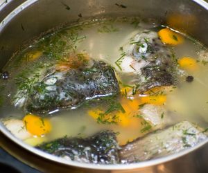 Wypełniona witaminą D3 i selenem. Ta ryba nie cieszy się w Polsce popularnością