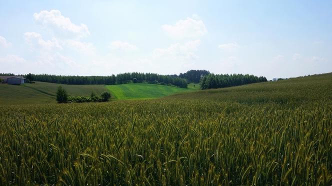 Północnym skrajem WPK