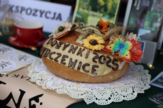 Dożynki wojewódzkie 2025 w Świdniku
