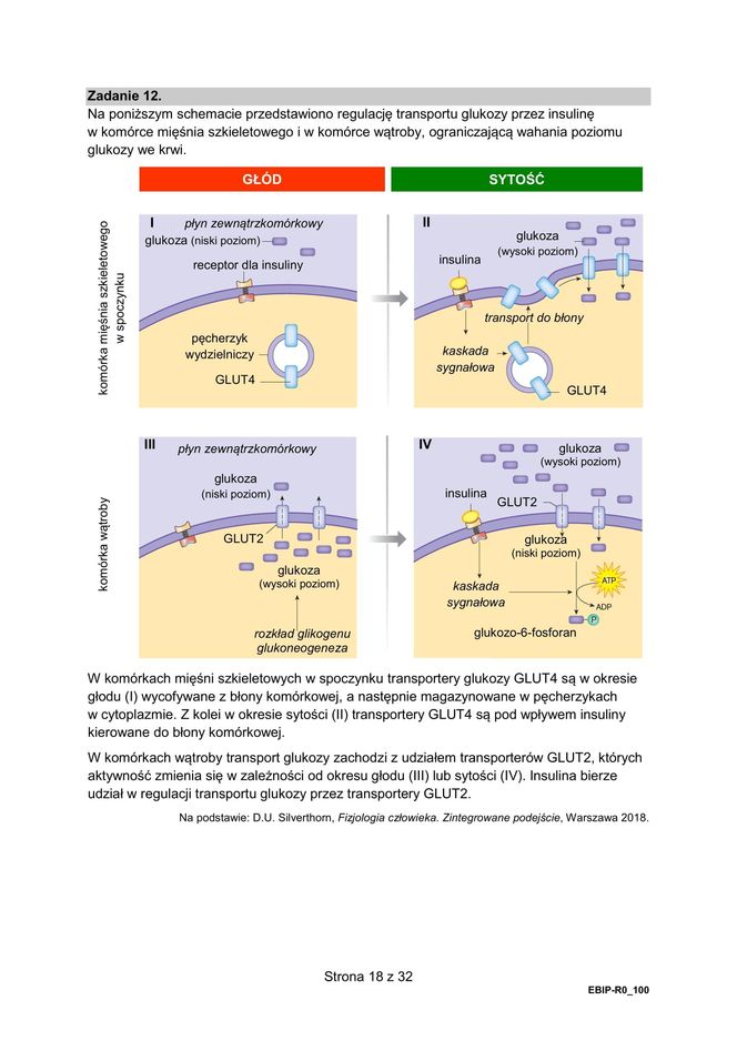 Matura 2025: biologia 9.05.2025. Arkusze CKE i odpowiedzi [Formuła 2015]