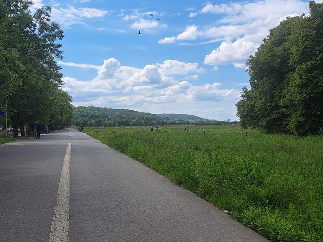 Błonia w Krakowie
