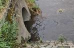Rzeka Drwinka w Krakowie została zatruta? Zielona woda i fetor. MPEC odpiera zarzuty aktywistów 