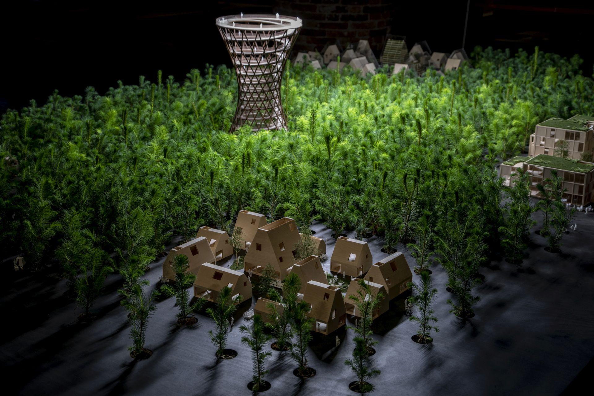 Biennale architektury w Wenecji 2021: miniprzewodnik Marcina Bratańca i Urszuli Forczek-Brataniec