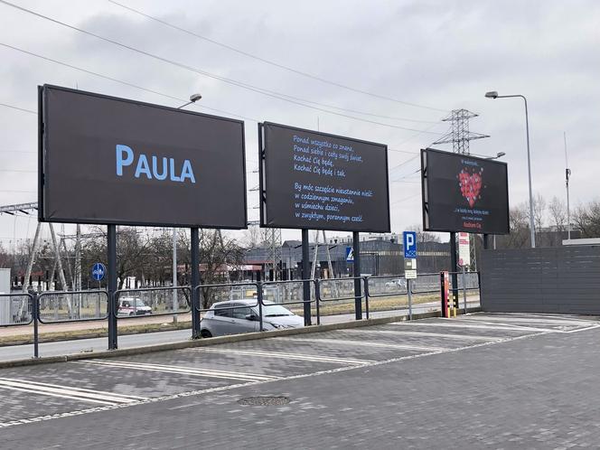 Katowice: Wynajął trzy bilboardy na Bażantowie, by wyznać miłość Pauli!